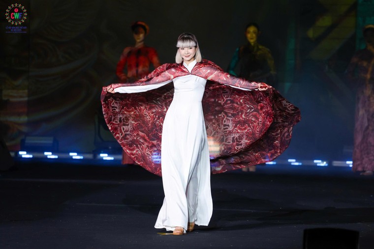 Lễ hội Văn hóa Thế giới tại Hà Nội quyên góp 2,5 tỷ đồng ủng hộ đồng bào vùng lũ ảnh 4