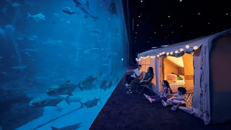 Singapore: mùa lễ hội rực rỡ và những trải nghiệm mới mẻ đang chờ du khách ảnh 3