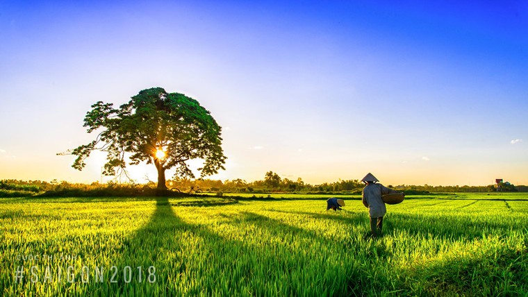 Khoảnh khắc rực rỡ núi non, đô thị, biển cả Việt Nam ảnh 16