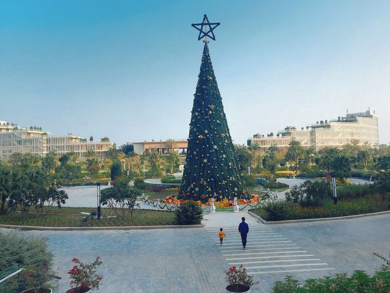 Tưng bừng đón Tết dương 2019 tại FLC Hotels & Resorts ảnh 1