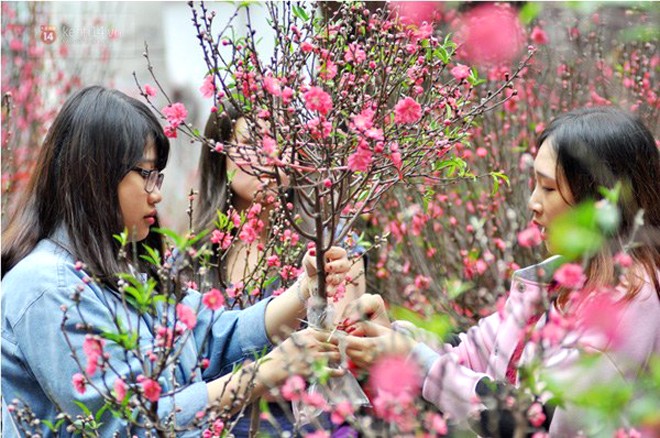 Thông tin thời tiết mới nhất trong dịp Tết Nguyên đán Kỷ Hợi ảnh 1