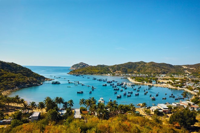 Đường bờ biển nước ta dài bao nhiêu km?