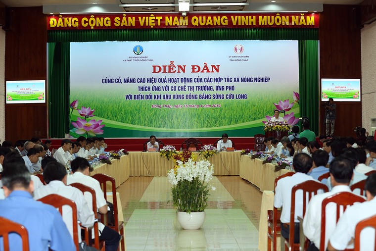 Phát triển HTX kiểu mới: Chính sách đã đầy đủ, cần làm ngay ảnh 1