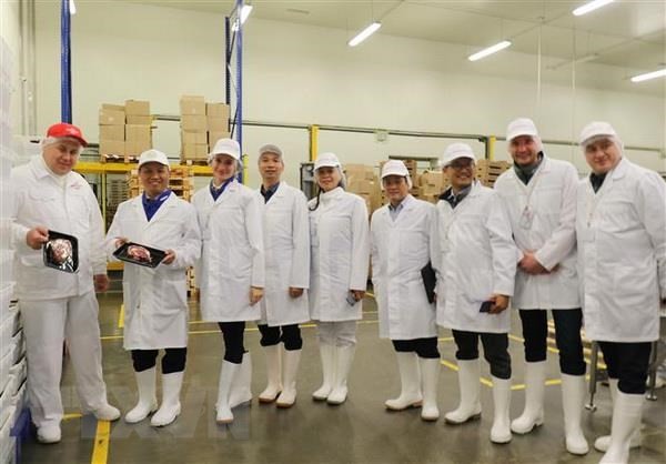 Nga cam kết tạo điều kiện thuận lợi cho doanh nghiệp Việt Nam ảnh 1