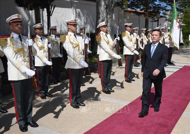 Tổng thống Algeria mong muốn thúc đẩy quan hệ với Việt Nam ảnh 1