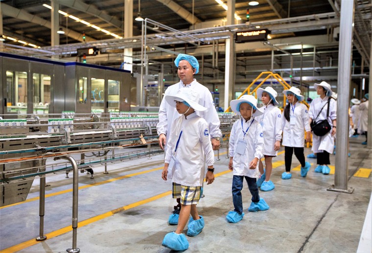 'Chuyện hậu trường' của mỗi hộp sữa học đường ảnh 6