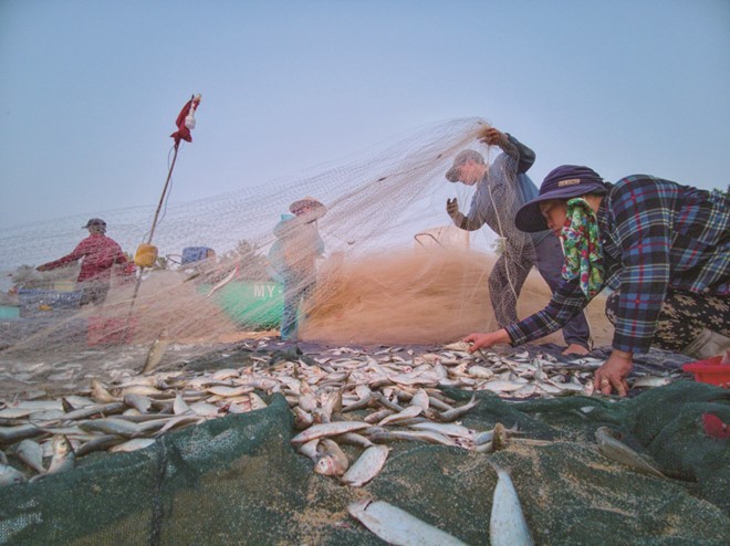 Quy Nhơn trong trải nghiệm tuyệt vời của những phóng viên nước ngoài ảnh 3