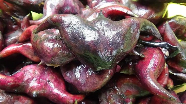 Nguyên liệu chính nào làm ra món cháo ấu tẩu?