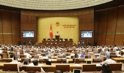 Điều chỉnh tuổi nghỉ hưu cần tránh gây 'sốc' thị trường lao động ảnh 1