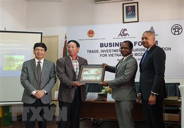 Việt Nam-Mozambique xúc tiến hợp tác đầu tư, thương mại và du lịch ảnh 1