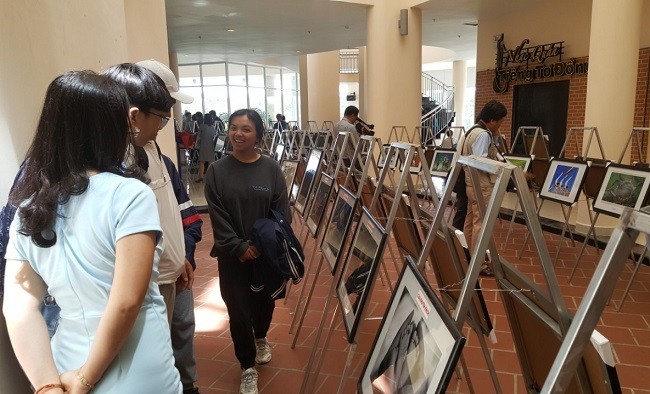 Triển lãm ảnh nghệ thuật miền Đông Nam bộ ảnh 1