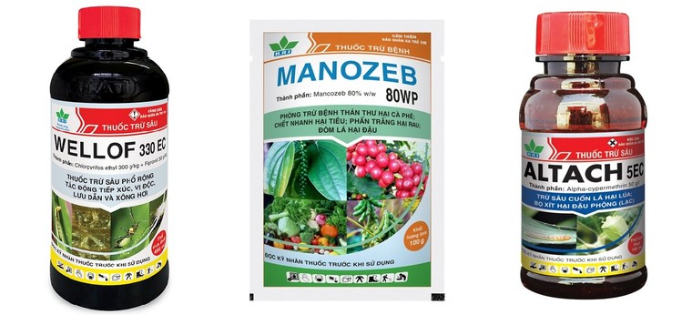 Không còn lo ngại bệnh nấm bồ hóng gây hại trên cây sầu riêng ảnh 2