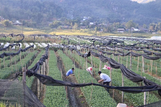 CNN bình chọn 13 trải nghiệm đáng nhớ tại Việt Nam ảnh 10