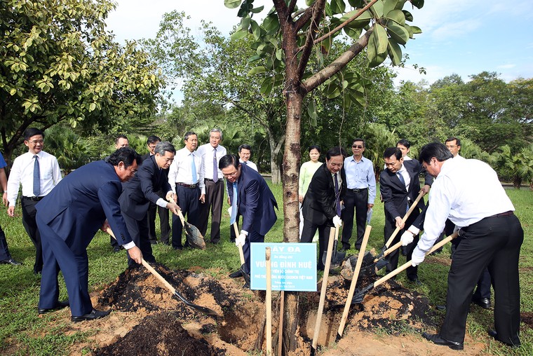 Tự chủ đại học không có nghĩa là các trường phải 'tự túc', 'tự bơi' ảnh 2