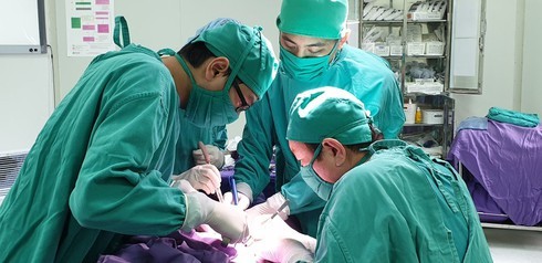 Mắc bệnh hiếm gặp, bé 19 tháng tuổi 'thoát chết' thần kỳ ảnh 1