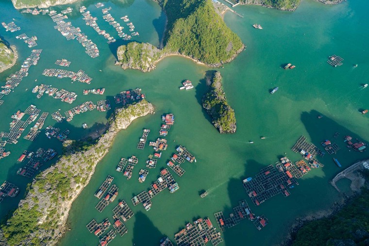 Nâng cấp sân bay Quốc tế Cát Bi - cơ hội để du lịch Hải Phòng cất cánh ảnh 1