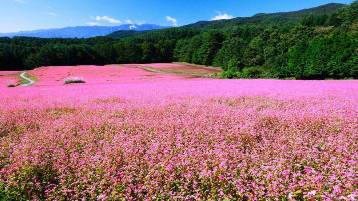 Lũng Cú có nghĩa là gì?