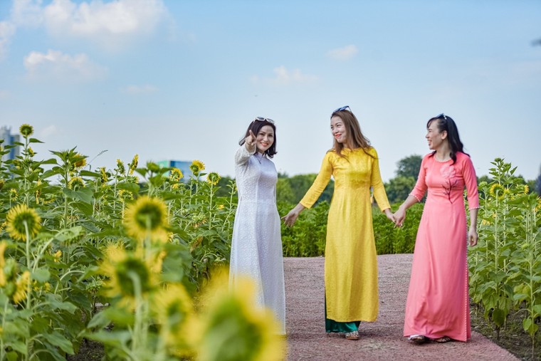 Đồi hoa mặt trời Ecopark khoe sắc đón thu sang ảnh 6