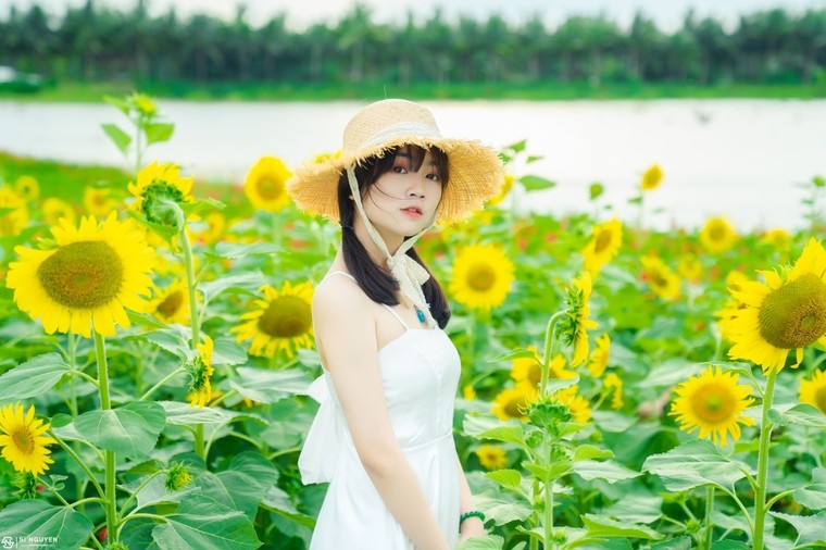 Đồi hoa mặt trời Ecopark khoe sắc đón thu sang ảnh 8