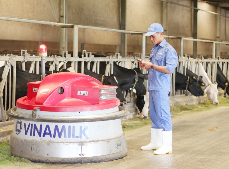 Vinamilk lần thứ 3 liên tiếp được bình chọn là nơi làm việc tốt nhất Việt Nam ảnh 4