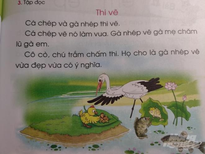 'Lỗ hổng' trong thẩm định và thực nghiệm sách giáo khoa ảnh 2