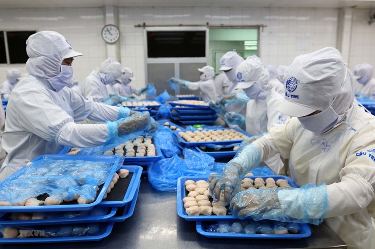 Thị trường lao động đang ấm dần ảnh 2