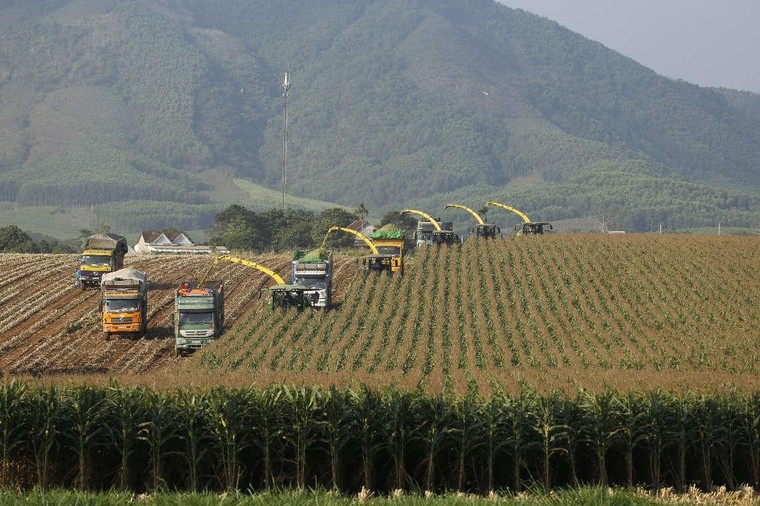 Nữ anh hùng lao động thời kỳ đổi mới Thái Hương: Những dấu ấn tiên phong ảnh 2