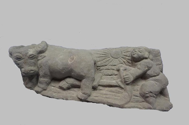 Triển lãm 'Mùa xuân đất nước' chào mừng Đại hội Đảng ảnh 5