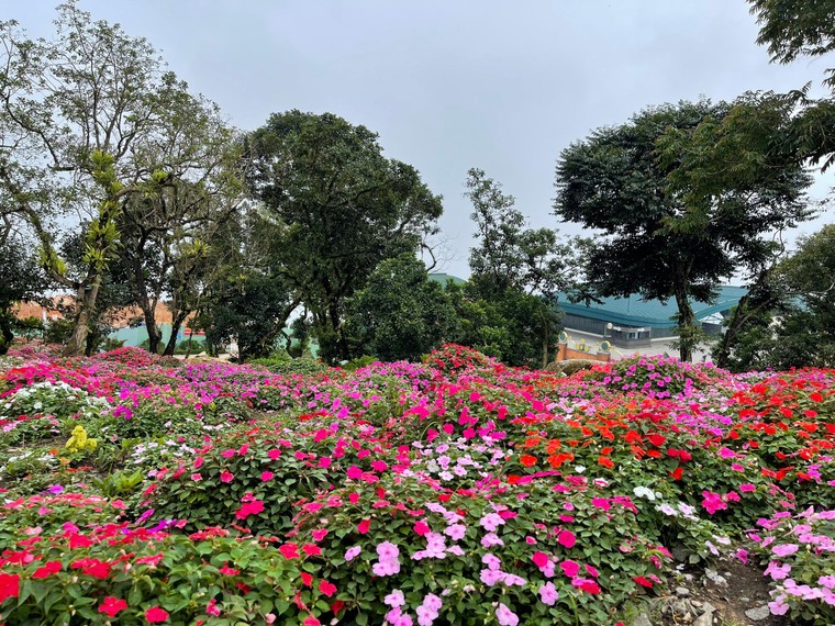 Sun World BaDen Mountain đón lực lượng tuyến đầu trải nghiệm tour khép kín Tp.HCM- Tây Ninh ảnh 2