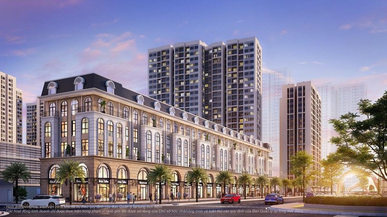 Chạy đua đầu tư mặt bằng kinh doanh tại các đại đô thị ảnh 2