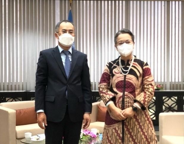 Việt Nam cam kết đưa quan hệ với LHQ và ESCAP đi vào chiều sâu ảnh 1