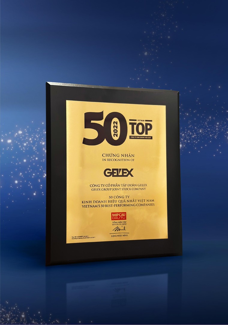 GELEX lọt 'Top 50 Công ty Kinh doanh hiệu quả nhất Việt Nam năm 2022' ảnh 3