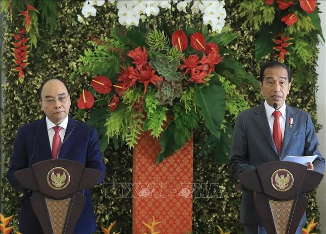 Chủ tịch nước Nguyễn Xuân Phúc hội đàm với Tổng thống Indonesia Joko Widodo ảnh 2