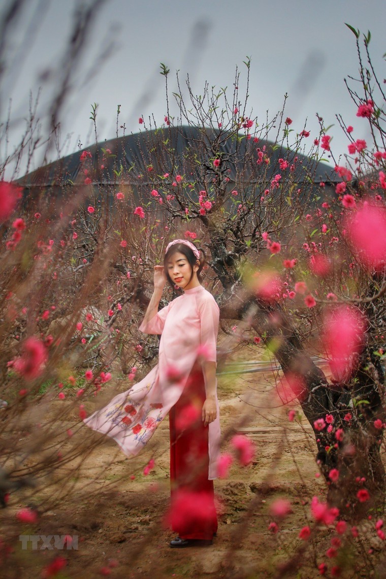 Chiêm ngưỡng vẻ đẹp của phụ nữ Thủ đô trong Tuần lễ Áo dài ảnh 1