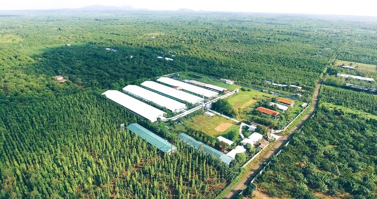 Thúc đẩy cho vay lĩnh vực ưu tiên, HDBank tạo lối đi riêng cho tăng trưởng tín dụng ảnh 2