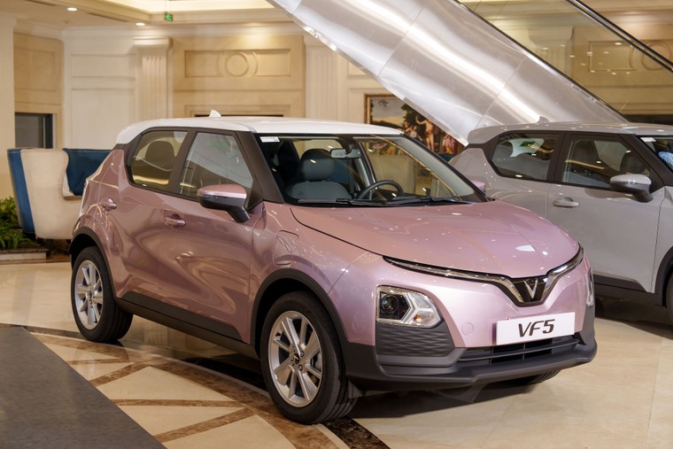 Hối hả đặt cọc ngày cuối ưu đãi, chủ xe VF 5 Plus nhận nhiều đặc quyền VIP ảnh 3