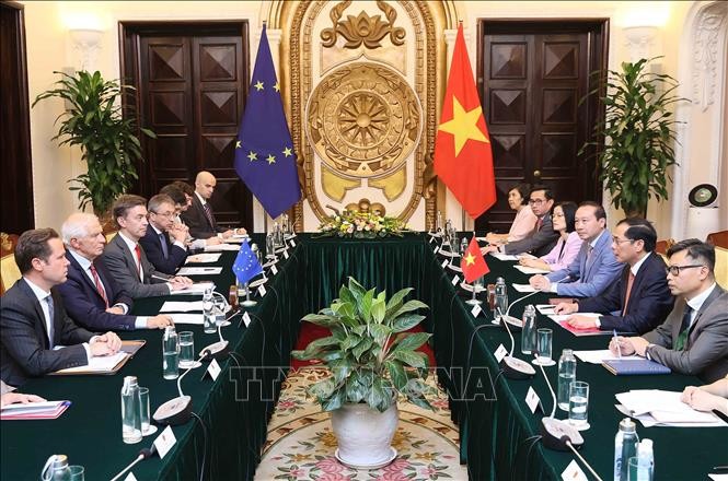 Bộ trưởng Ngoại giao Bùi Thanh Sơn hội đàm với Phó Chủ tịch Ủy ban châu Âu ảnh 1