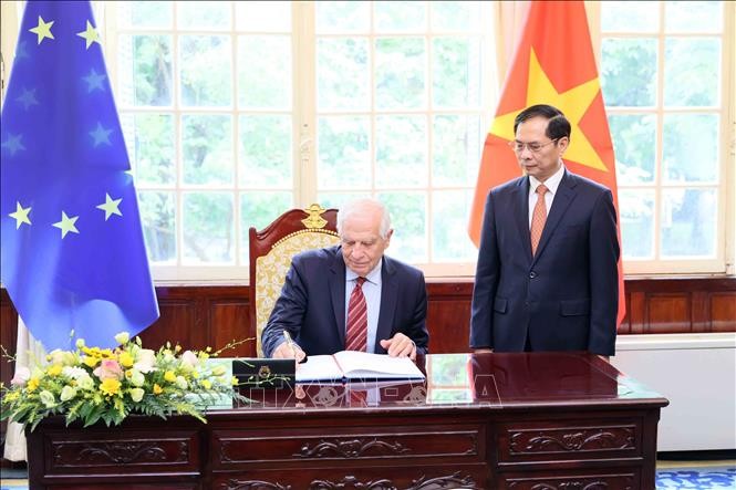 Bộ trưởng Ngoại giao Bùi Thanh Sơn hội đàm với Phó Chủ tịch Ủy ban châu Âu ảnh 2