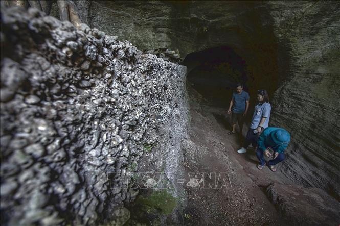 Khám phá giá trị đặc biệt của hai di tích Mái đá làng Vành và hang xóm Trại ảnh 10