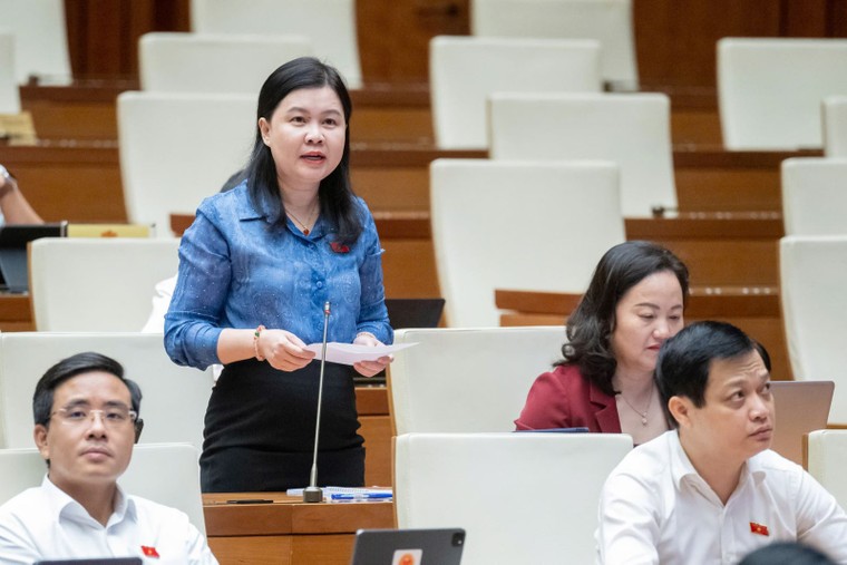 Đại biểu ‘truy’ trách nhiệm của Chính phủ trong việc liên tục sửa đổi luật ảnh 1