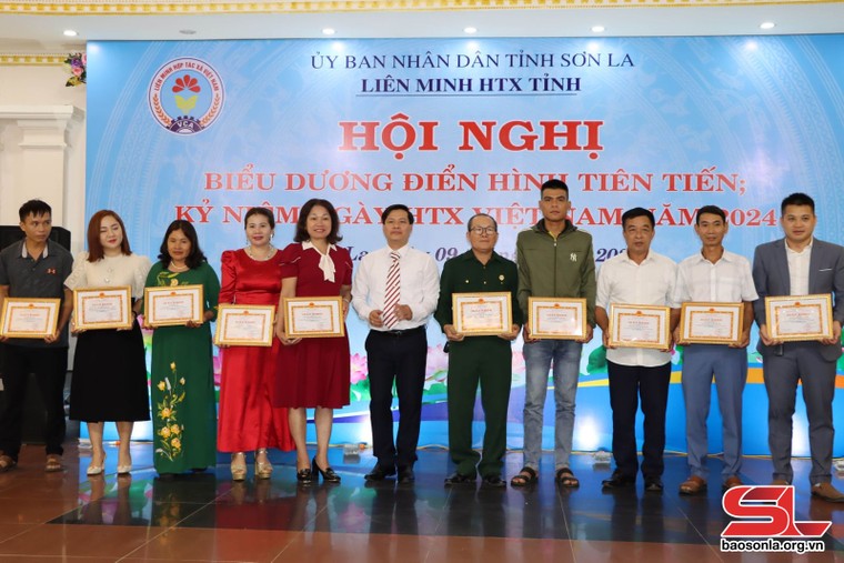 Phát huy vai trò nòng cốt thúc đẩy kinh tế tập thể phát triển ảnh 1