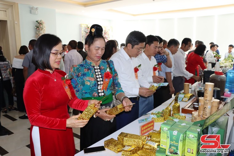 Phát huy vai trò nòng cốt thúc đẩy kinh tế tập thể phát triển ảnh 2