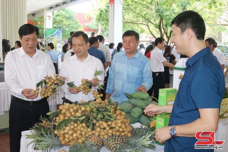 Đẩy mạnh xúc tiến thương mại, tiêu thụ nông sản ảnh 3