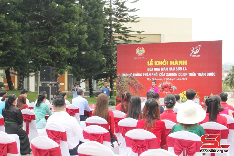 Đẩy mạnh xúc tiến thương mại, tiêu thụ nông sản ảnh 2