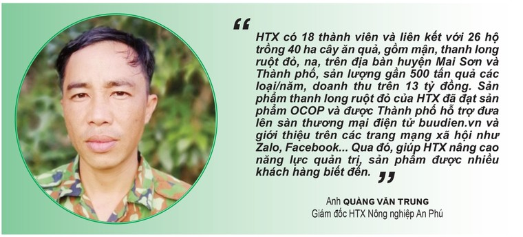 Hỗ trợ doanh nghiệp, HTX sản xuất, tiêu thụ nông sản ảnh 6