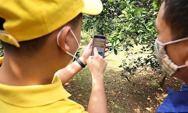 Thủ tục đăng ký hợp tác xã, liên hiệp hợp tác xã trên môi trường điện tử ảnh 1