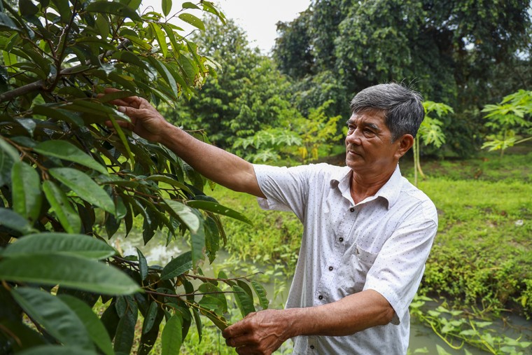 PGS.TS Đinh Trọng Thịnh: Áp thuế GTGT phân bón 5%, nông dân được hưởng lợi! ảnh 1