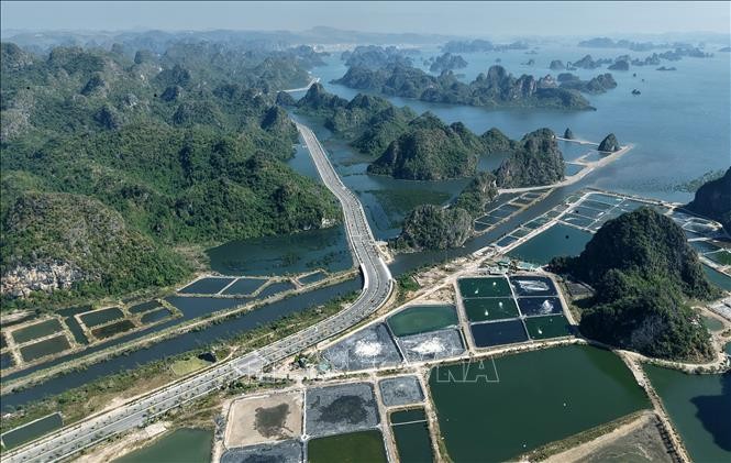 Tuyến đường bao biển xuyên núi kết nối hai di sản Vịnh Hạ Long và Vịnh Bái Tử Long ảnh 8