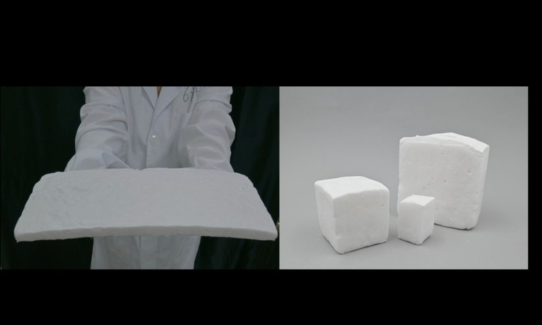 Bọt biển từ bông và xương mực hút hơn 99% vi nhựa trong nước ảnh 2