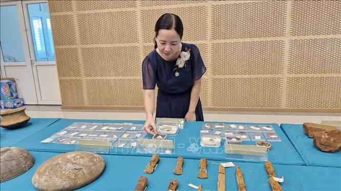 Nhiều phát hiện mới sau khai quật 3 di tích khảo cổ học tại tỉnh Bà Rịa - Vũng Tàu ảnh 3